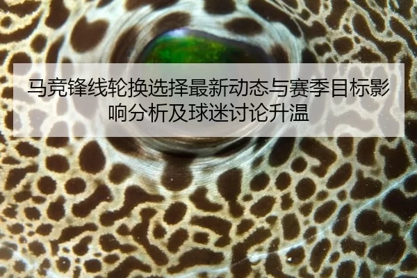 ma-jing-feng-xian-lun-huan-xuan-ze-zui-xin-dong-tai-yu-sai-ji-mu-biao-ying-xiang-fen-xi-ji-qiu-mi-tao-lun-sheng-wen-2-691.jpg